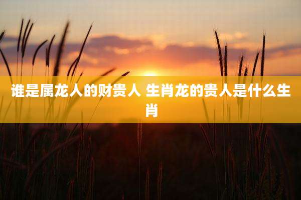 谁是属龙人的财贵人 生肖龙的贵人是什么生肖