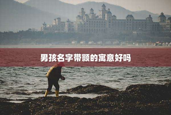 男孩名字带颢的寓意好吗