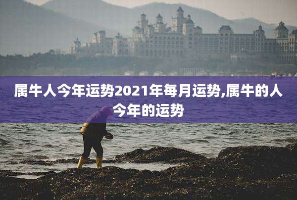 属牛人今年运势2021年每月运势,属牛的人今年的运势