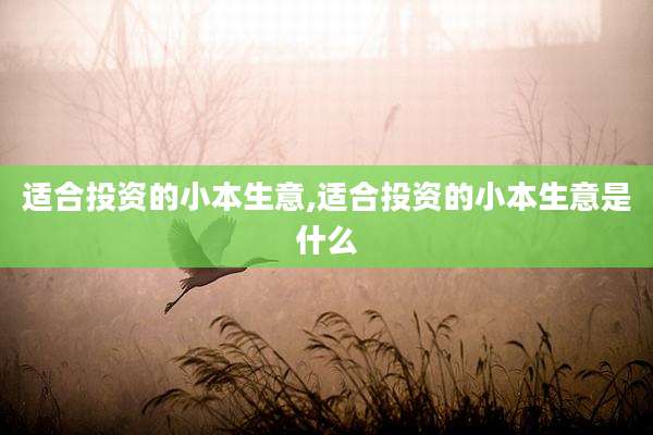 适合投资的小本生意,适合投资的小本生意是什么