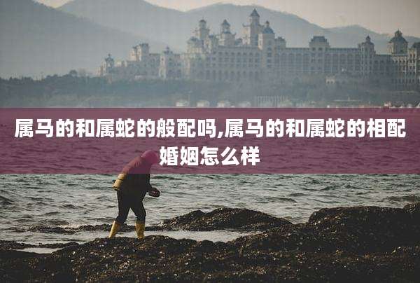 属马的和属蛇的般配吗,属马的和属蛇的相配婚姻怎么样