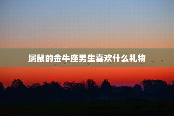 属鼠的金牛座男生喜欢什么礼物
