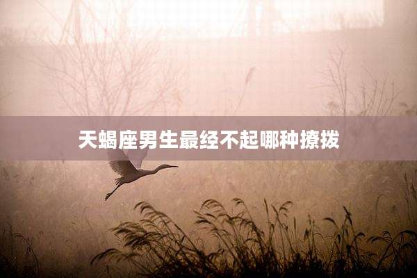 天蝎座男生最经不起哪种撩拨