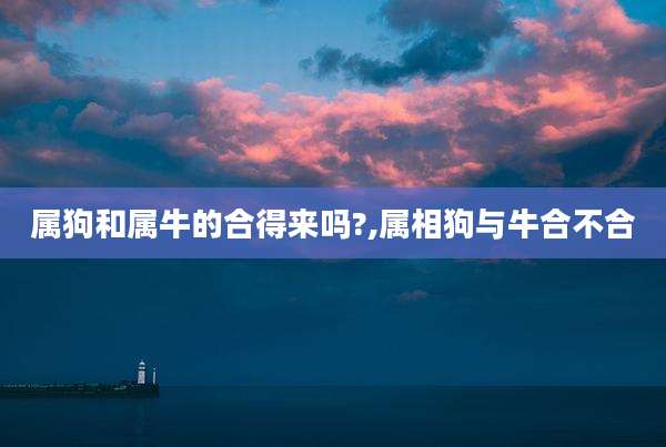 属狗和属牛的合得来吗?,属相狗与牛合不合