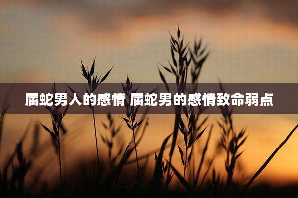 属蛇男人的感情 属蛇男的感情致命弱点