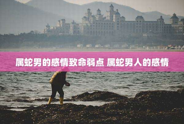 属蛇男的感情致命弱点 属蛇男人的感情