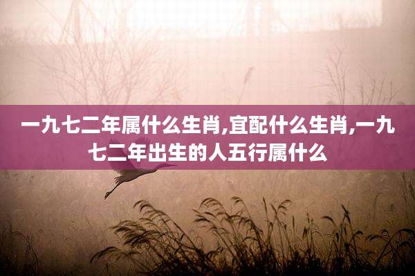 一九七二年属什么生肖,宜配什么生肖,一九七二年出生的人五行属什么