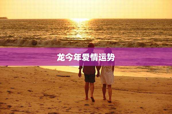 龙今年爱情运势