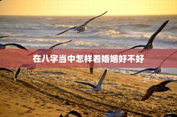 在八字当中怎样看婚姻好不好