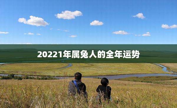 20221年属兔人的全年运势