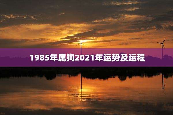 1985年属狗2021年运势及运程