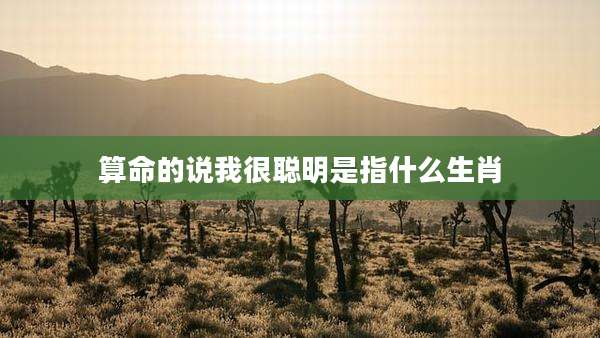 算命的说我很聪明是指什么生肖