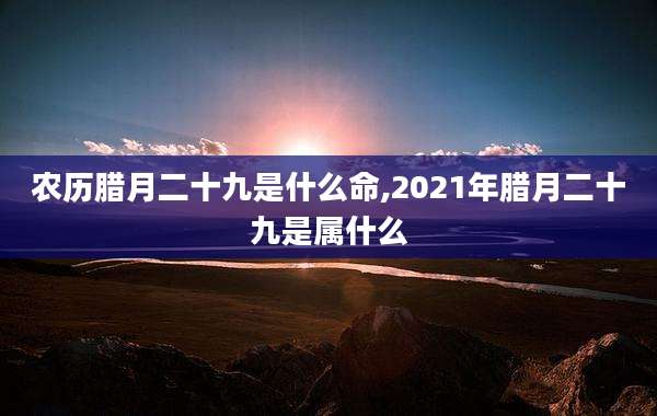 农历腊月二十九是什么命,2021年腊月二十九是属什么