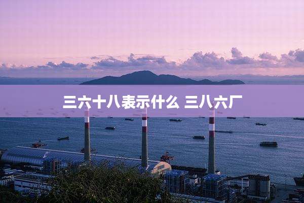 三六十八表示什么 三八六厂