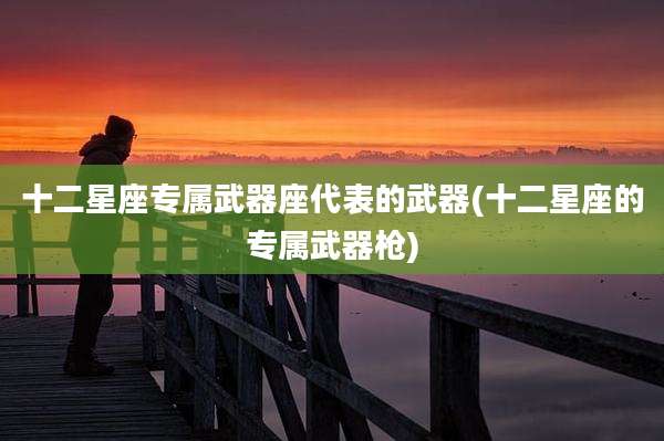十二星座专属武器座代表的武器(十二星座的专属武器枪)
