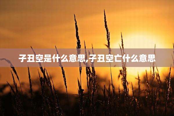 子丑空是什么意思,子丑空亡什么意思