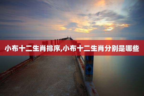 小布十二生肖排序,小布十二生肖分别是哪些