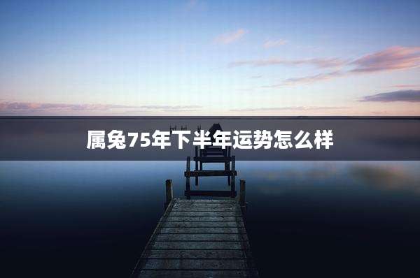 属兔75年下半年运势怎么样