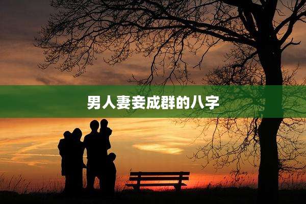 男人妻妾成群的八字