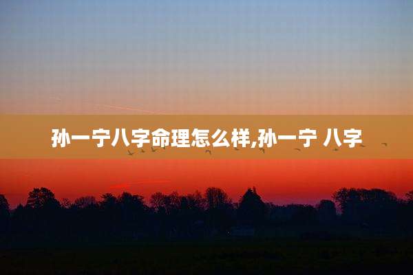 孙一宁八字命理怎么样,孙一宁 八字
