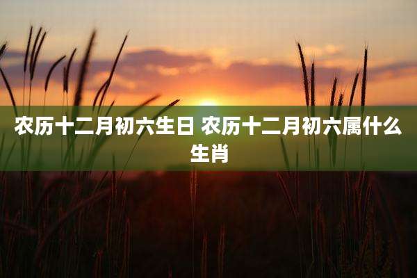 农历十二月初六生日 农历十二月初六属什么生肖