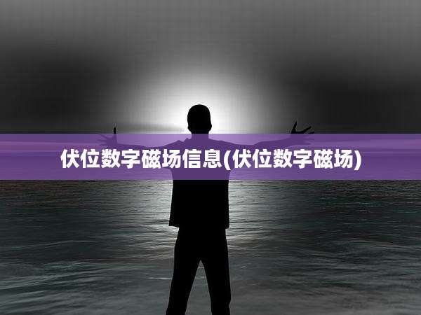 伏位数字磁场信息(伏位数字磁场)