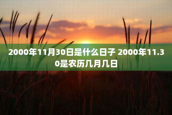 2000年11月30日是什么日子 2000年11.30是农历几月几日
