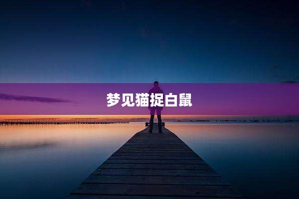 梦见猫捉白鼠
