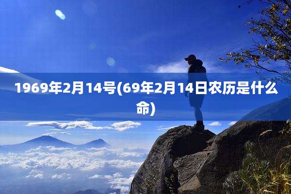 1969年2月14号(69年2月14日农历是什么命)