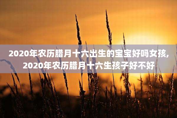 2020年农历腊月十六出生的宝宝好吗女孩,2020年农历腊月十六生孩子好不好
