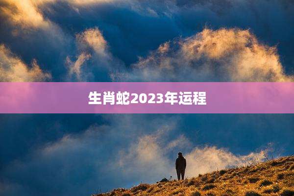 生肖蛇2023年运程
