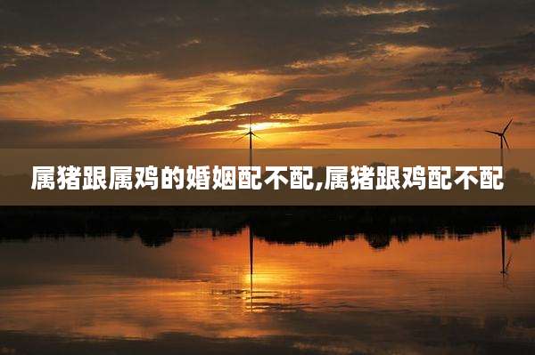 属猪跟属鸡的婚姻配不配,属猪跟鸡配不配