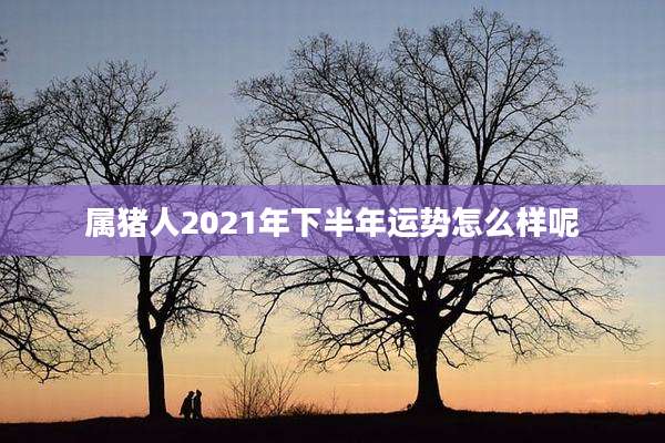 属猪人2021年下半年运势怎么样呢