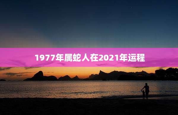 1977年属蛇人在2021年运程