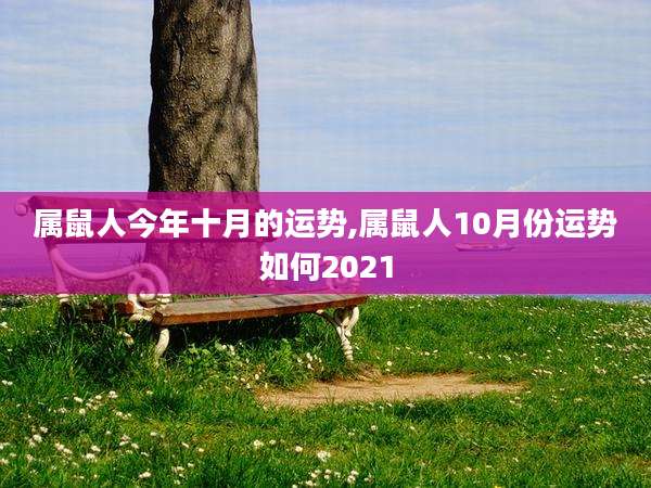 属鼠人今年十月的运势,属鼠人10月份运势如何2021