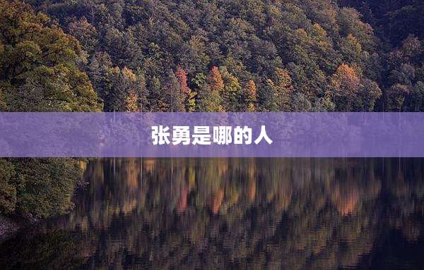 张勇是哪的人
