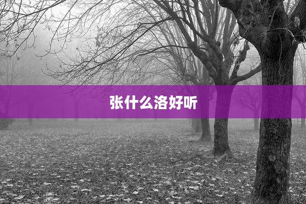 张什么洛好听
