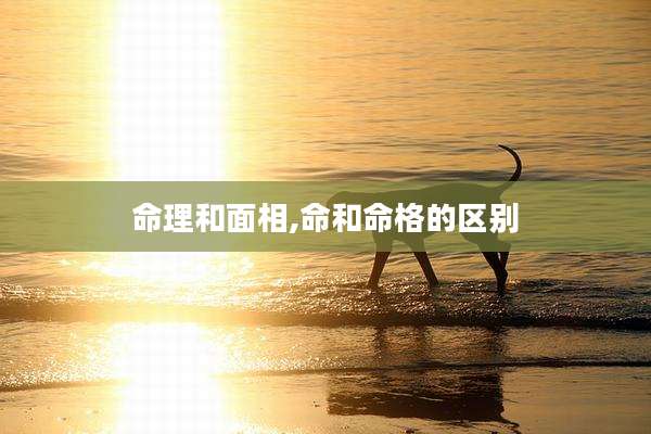 命理和面相,命和命格的区别