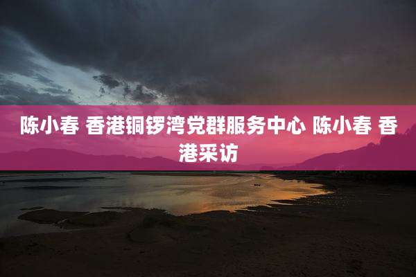 陈小春 香港铜锣湾党群服务中心 陈小春 香港采访