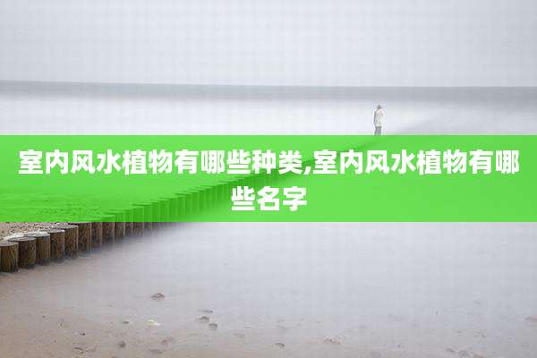 室内风水植物有哪些种类,室内风水植物有哪些名字