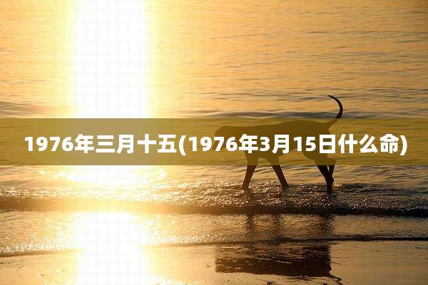 1976年三月十五(1976年3月15日什么命)