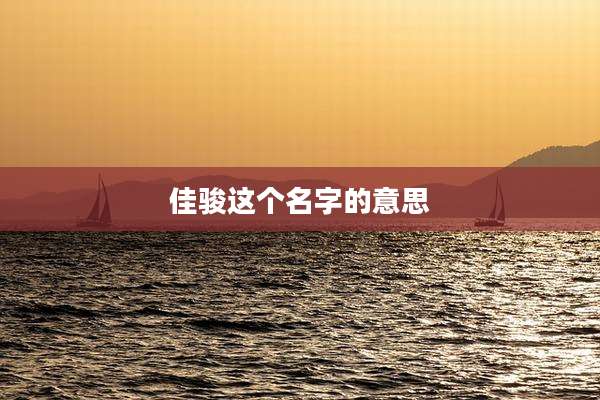 佳骏这个名字的意思