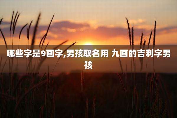 哪些字是9画字,男孩取名用 九画的吉利字男孩