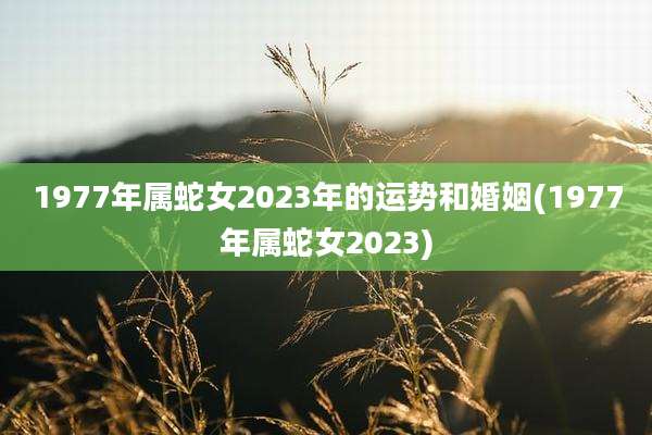 1977年属蛇女2023年的运势和婚姻(1977年属蛇女2023)