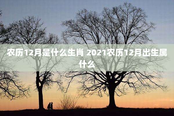 农历12月是什么生肖 2021农历12月出生属什么