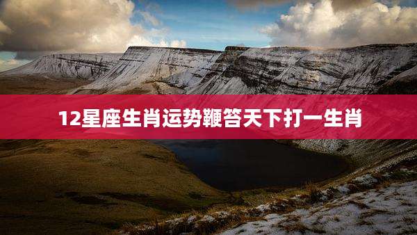12星座生肖运势鞭笞天下打一生肖