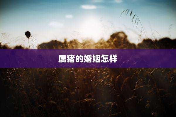 属猪的婚姻怎样