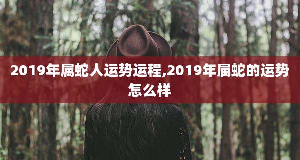 2019年属蛇人运势运程,2019年属蛇的运势怎么样