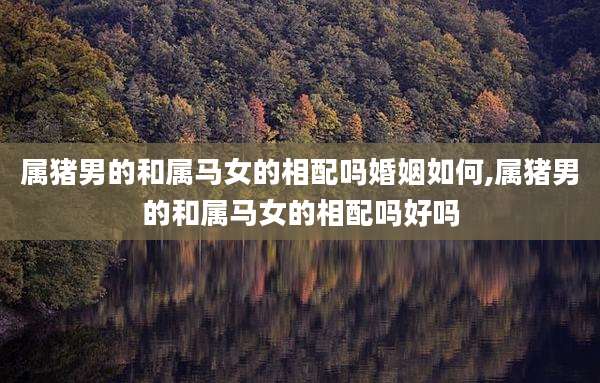 属猪男的和属马女的相配吗婚姻如何,属猪男的和属马女的相配吗好吗