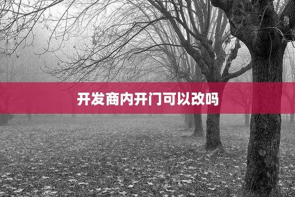 开发商内开门可以改吗